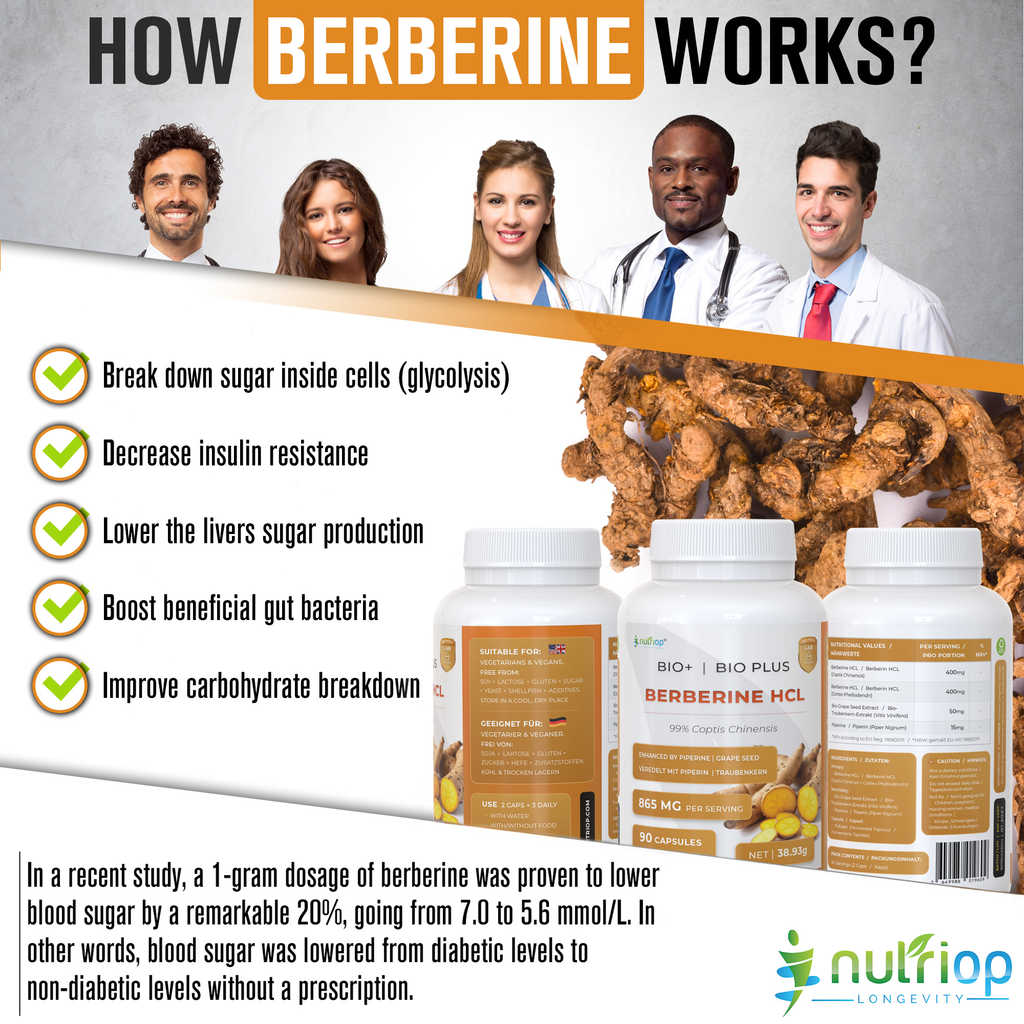 Nutriop Longevity® Bio-Enhanced Berberine HCL with Pure Organic Piperine and Grape Seed Extract - 865mg per serving (x45)-1